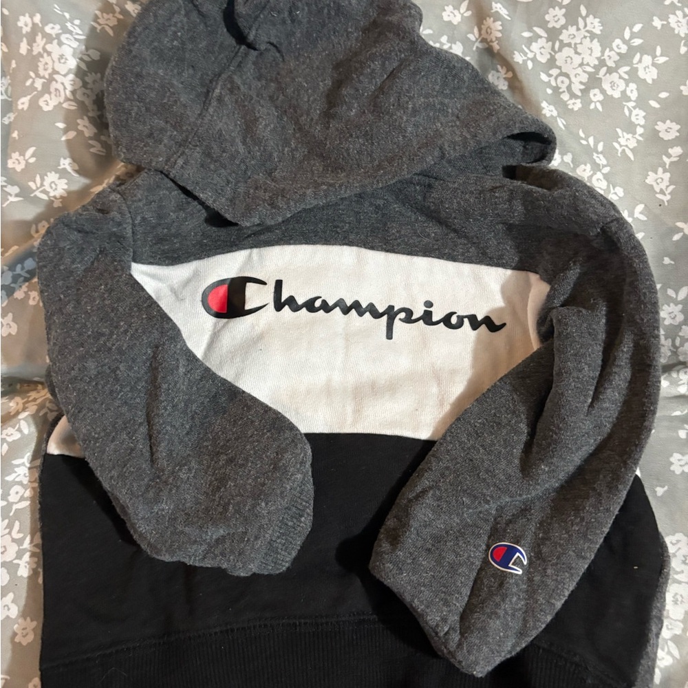 Champion Gray and Black Hoodie